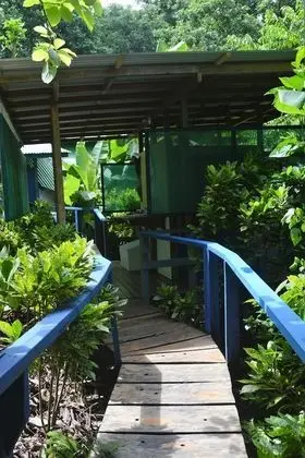 Tiki Hut