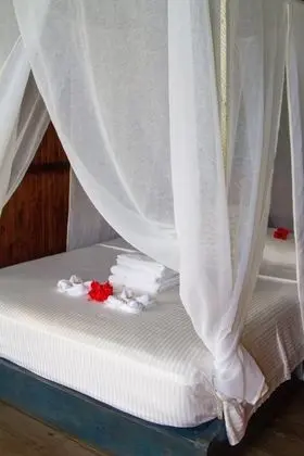 Tropical Honeymoon