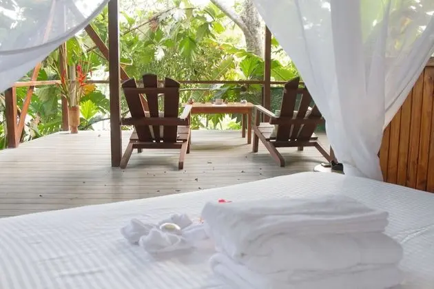 Tropical Honeymoon
