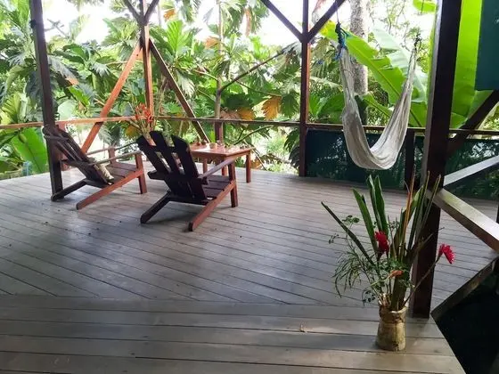 Tropical Honeymoon