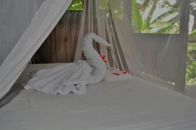 Tropical Honeymoon