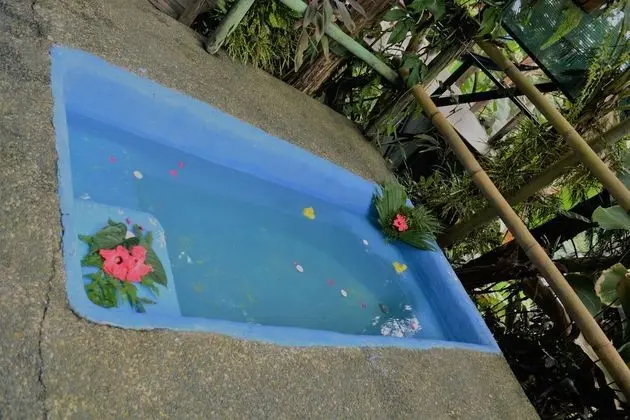 Tropical Honeymoon