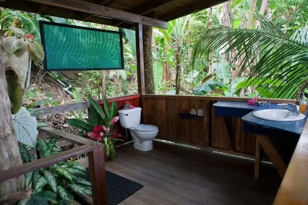 Tropical Honeymoon