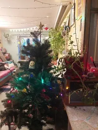 Basic Ortak Ranzalı Oda