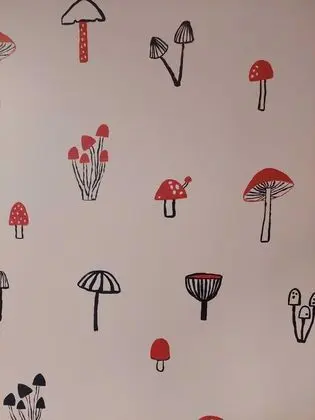 Traditional Ortak Ranzalı Oda