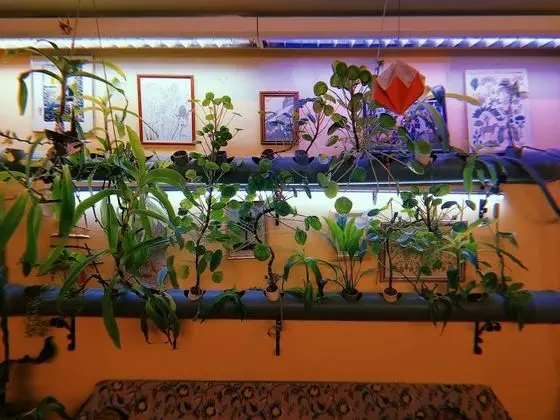 Traditional Ortak Ranzalı Oda