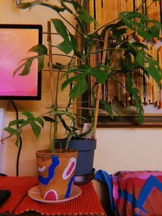 Traditional Ortak Ranzalı Oda