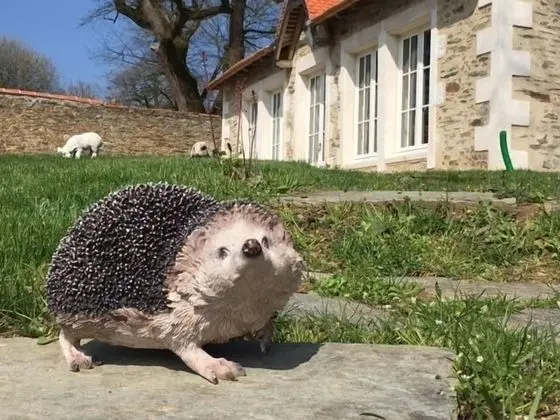 Superior Kır Evi, Engellilere Uygun, Banyolu/Duşlu (L' ORANGERIE)