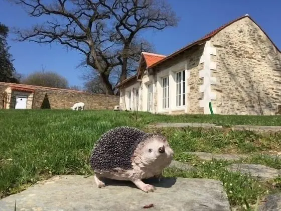 Superior Kır Evi, Engellilere Uygun, Banyolu/Duşlu (L' ORANGERIE)