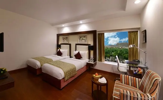 Deluxe İki Ayrı Yataklı Oda, Şehir Manzaralı