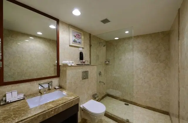 Deluxe İki Ayrı Yataklı Oda, Şehir Manzaralı