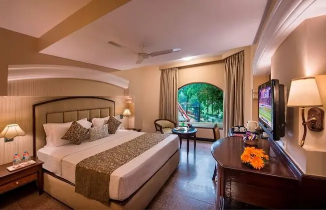 Executive Deluxe Double Room