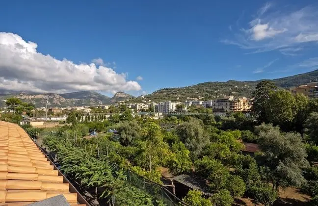 Deluxe Oda, Balkon, Bahçe Manzaralı
