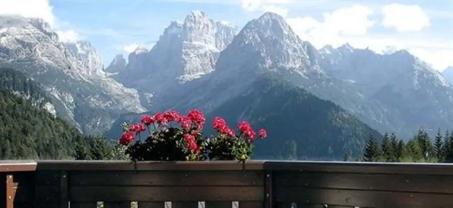 Süit