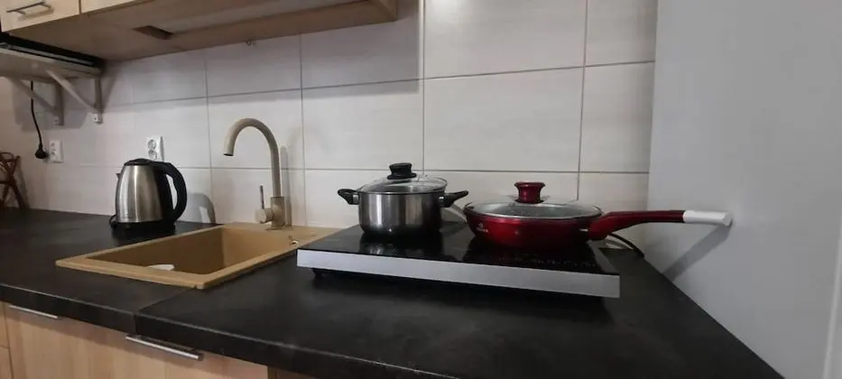 Basic Apart Daire, 1 Yatak Odası