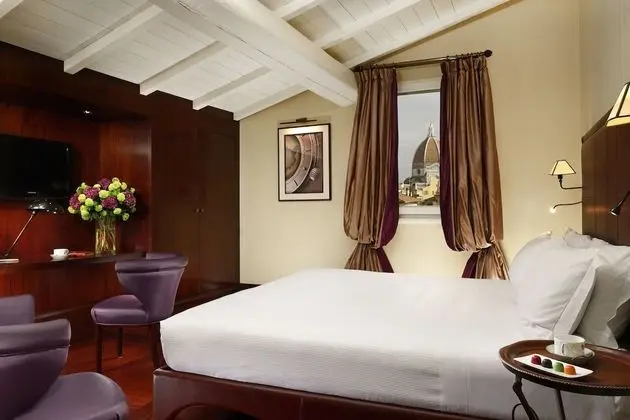 Deluxe Tek Büyük Yataklı Oda, Şehir Manzaralı