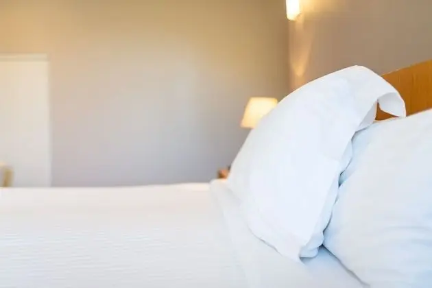 Comfort Süit, Park Manzaralı