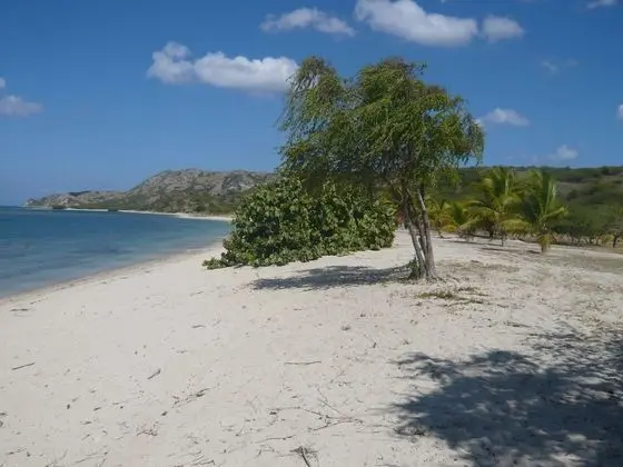 Villa, 5 Yatak Odası, Veranda