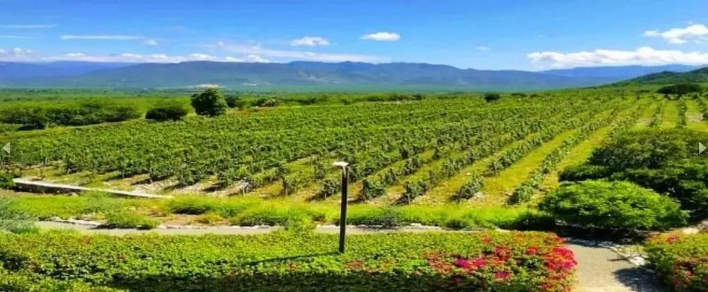 Villa, 5 Yatak Odası, Veranda