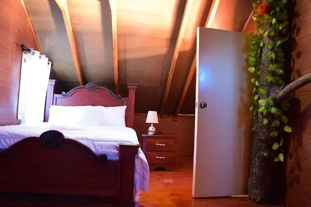 Comfort Ağaç Ev
