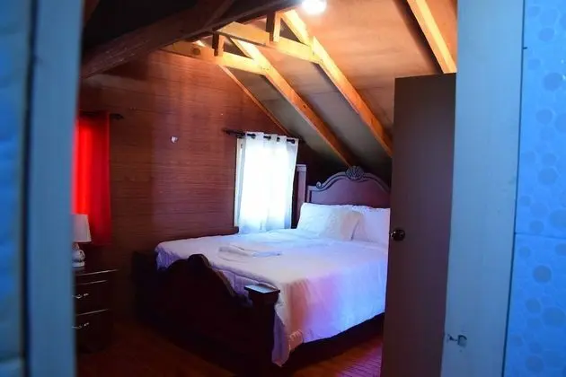 Comfort Ağaç Ev