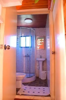 Comfort Ağaç Ev
