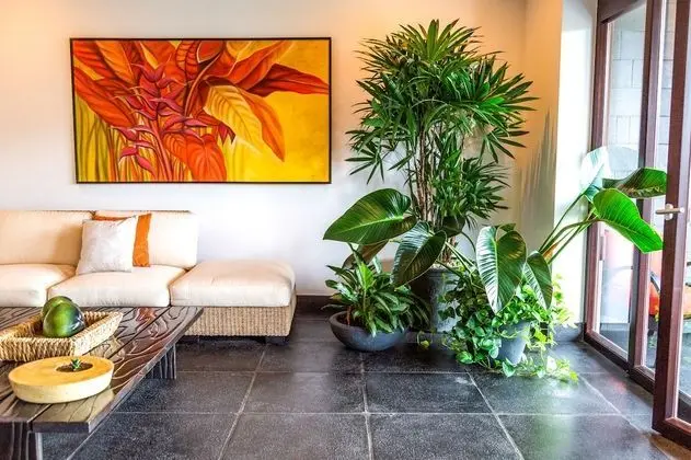 Panoramic Suites -Expansive Ocean Views - (# of bedrooms available depends on # of guests reserved)