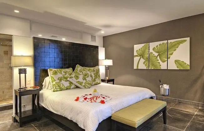 Panoramic Suites -Expansive Ocean Views - (# of bedrooms available depends on # of guests reserved)