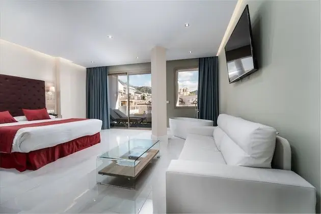 Junior Tek Büyük Yataklı Oda, 1 Büyük (Queen) Boy Yatak