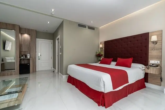 Junior Tek Büyük Yataklı Oda, 1 Büyük (Queen) Boy Yatak