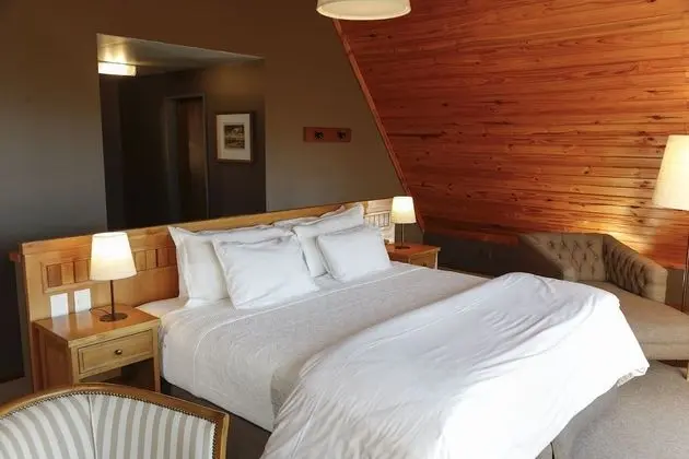 Premium Double or Twin Room City View