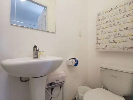 Comfort Stüdyo Süit, 1 Yatak Odası, Bahçe Manzaralı, Bahçeli