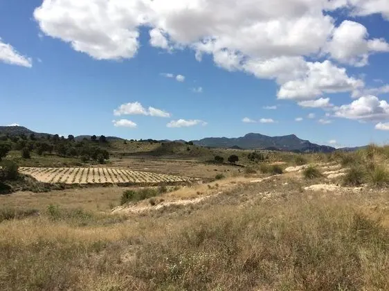 Deluxe Tek Büyük Yataklı Oda, 1 Büyük (Queen) Boy Yatak, Sigara İçilmez, Balkon