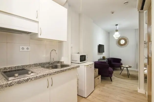 Apart Daire, 1 Yatak Odası