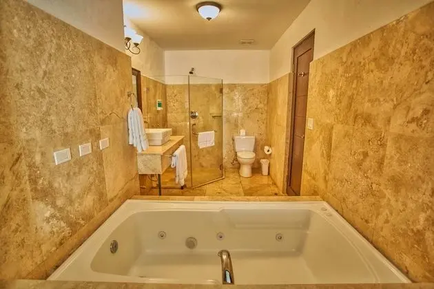 Junior Suite 1 King Bed