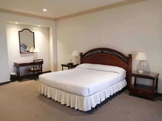 Superior Tek Büyük veya İki Ayrı Yataklı Oda, 1 En Büyük (King) Boy Yatak