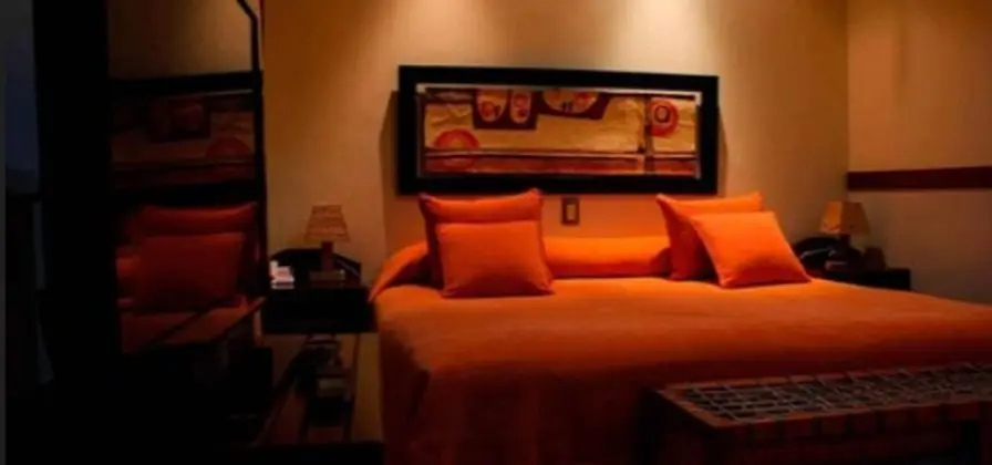 Superior Tek Büyük Yataklı Oda