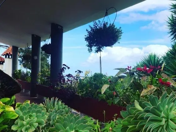 Villa, 3 Yatak Odası (1)