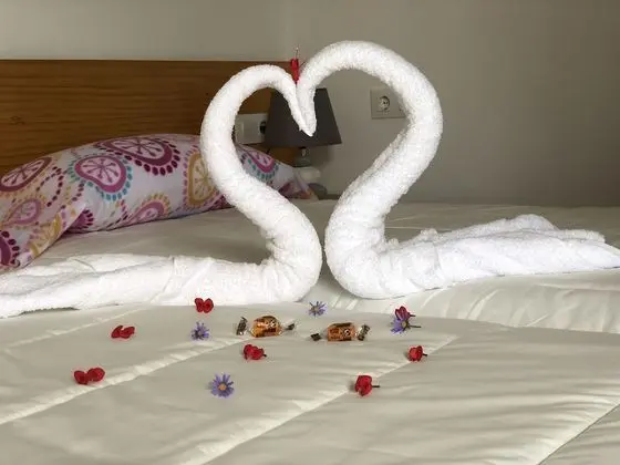 Çatı Katı (Loft), 1 Yatak Odası (3)