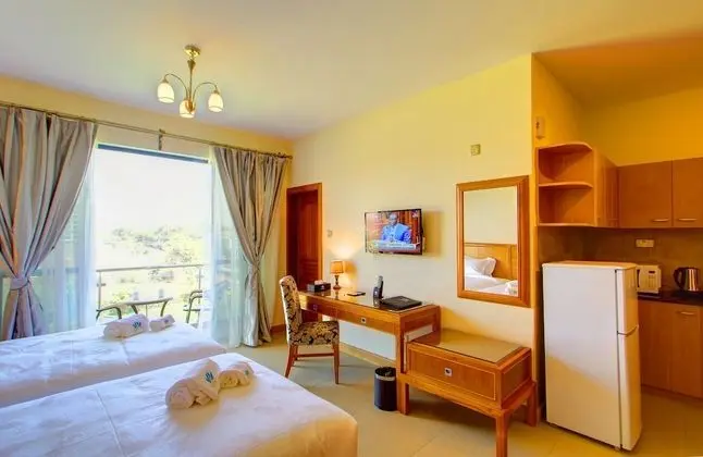 Park View Suite