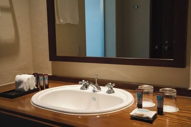 Deluxe İki Ayrı Yataklı Oda (Lodge)