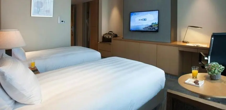 Standard İki Ayrı Yataklı Oda, Şehir Manzaralı