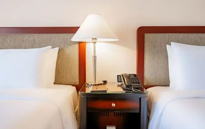 Deluxe İki Ayrı Yataklı Oda, Şehir Manzaralı