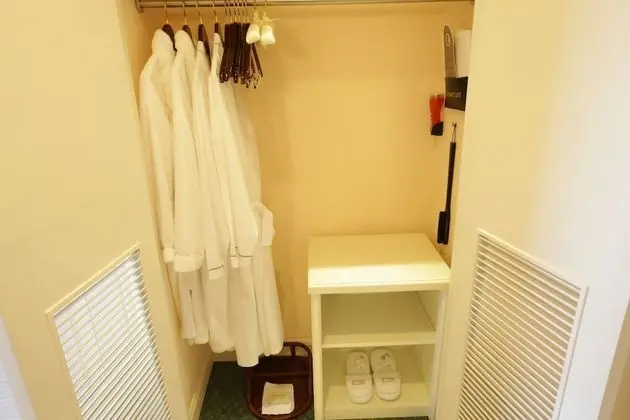 Deluxe İki Ayrı Yataklı Oda, Şehir Manzaralı