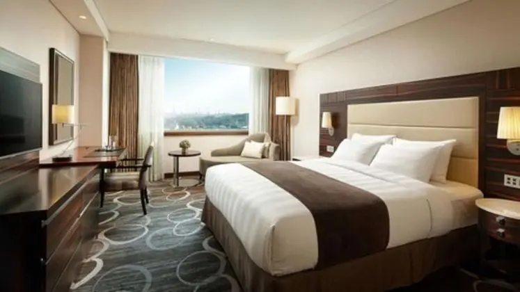Deluxe Tek Büyük Yataklı Oda