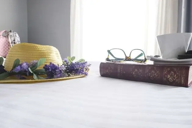 Standard Apart Daire, 1 Yatak Odası