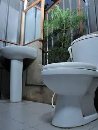 Traditional Kır Evi