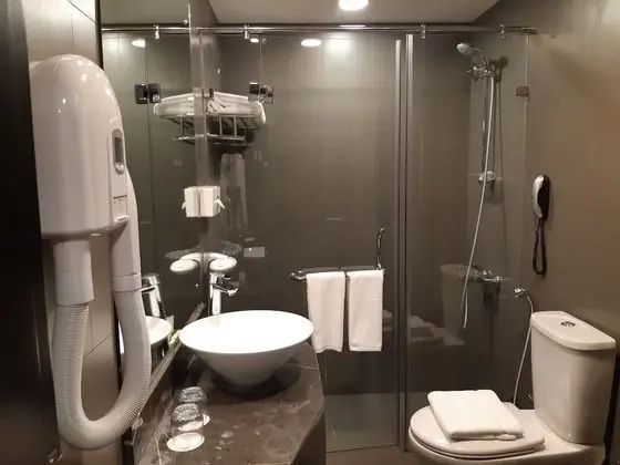 Deluxe Tek Büyük veya İki Ayrı Yataklı Oda
