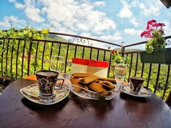 Tek Büyük Yataklı Oda, Ortak Banyo (with Balcony)