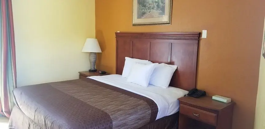 Comfort Tek Kişilik Oda, 1 En Büyük (King) Boy Yatak, Sigara İçilebilir